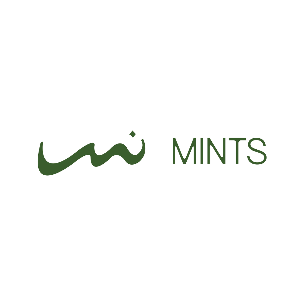 Mints Global - Best Digital Marketing Agency Dubai